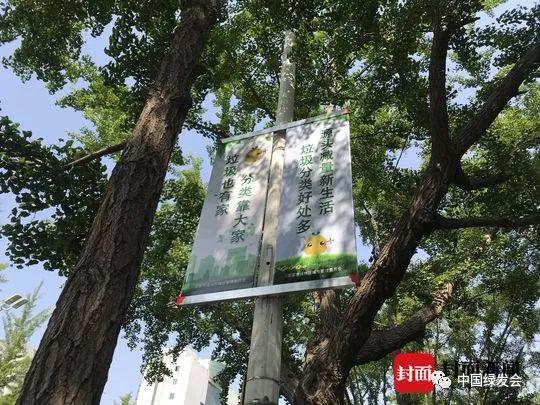 北京通州区街头的垃圾分类宣传牌