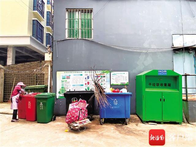 宝庆花园：厨余、有害垃圾桶装满落叶。